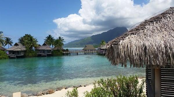 Intercontinental Moorea- view from our beach bungalow