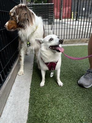 Paloma is all smiles at the viaduct in Hoboken.