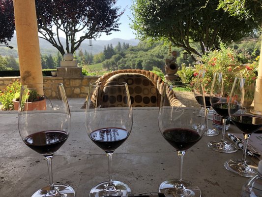 Wine tasting on the patio overlooking the garden and the vineyard below