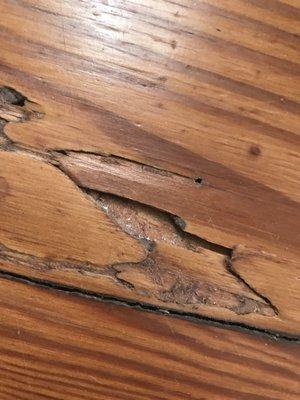 I paid to have my floors refinished. Even purchased new boards. So why is this clearly termite eaten board still there? Pure laziness.