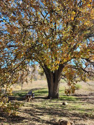 Paramount Ranch