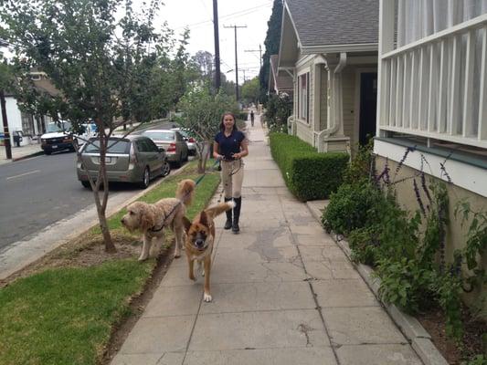 Walking Wiley and Otis