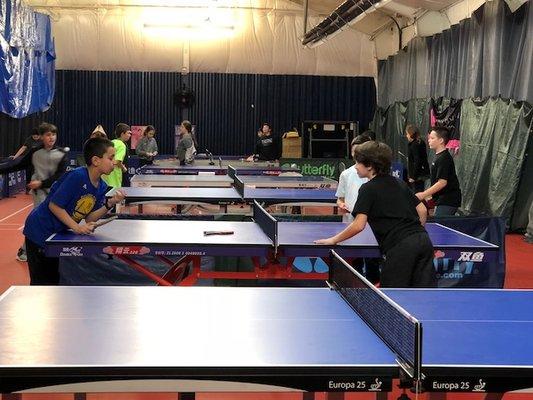 Table Tennis