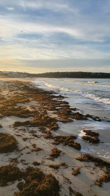 Falmouth Heights Beach