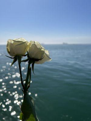 Flower and ocean view.