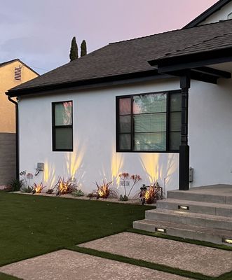 Front of the house plants