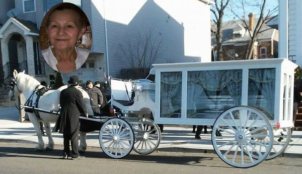 My Mothers Horse and Carriage