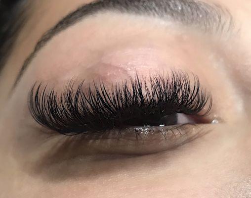 Hybrid Cat Eye Lash Set. Lash Tech : Katrina