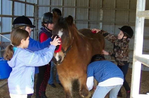 Boone's Farm & Stables