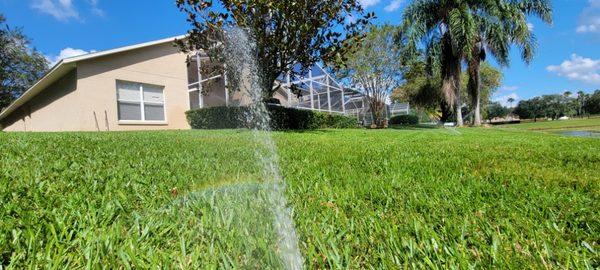 Sod Installation and Sprinkler Repair. Contact us for a free estimate.