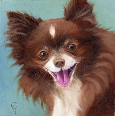 Pet Portraits