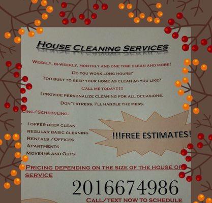 Dust Free Cleaning Services