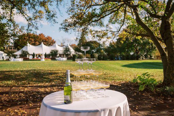 View of Belmont's event tent and Birdbath Garden from the Magnolia Grove. Thank you to Alex Schon Photography for providing this photo.