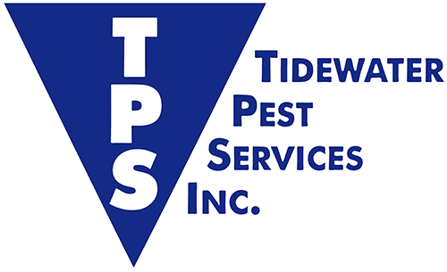 Tidewater Pest Services, Inc.