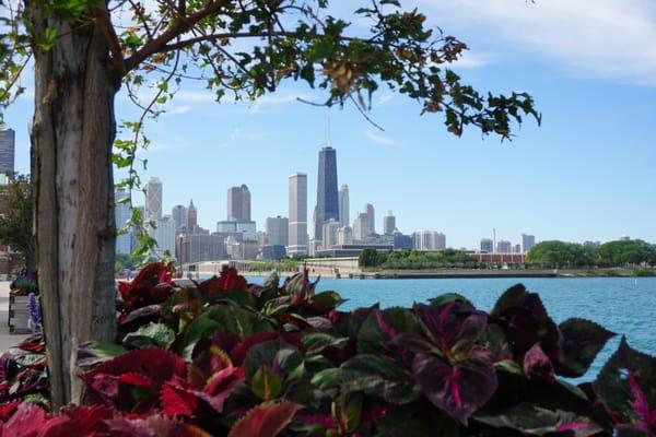 A look at the Streeterville area of Chicago.