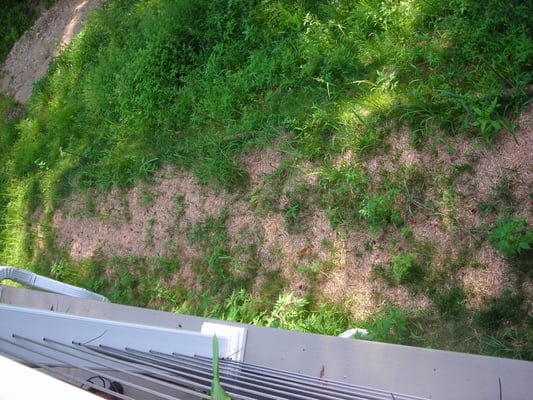 View to below from deck showing bare spots where grass was supposed to be and weeds that were not supposed to be.