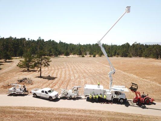 We ARE Experts in Tree Service!