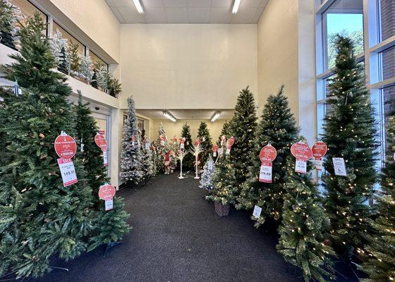 Christmas trees