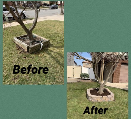 Before and After Landscaping