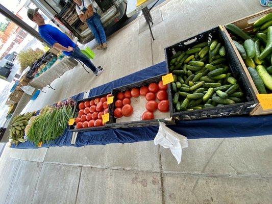 Veggies...County Line Farm 61