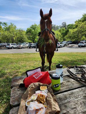 Negro Bar is a great lunch spot for horse and woman :D  4-22-2023