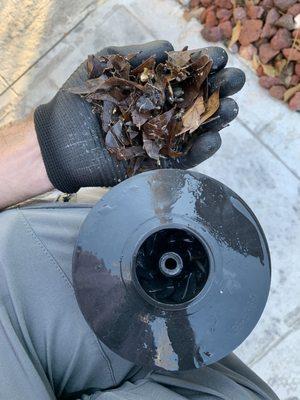 Impeller debris removal