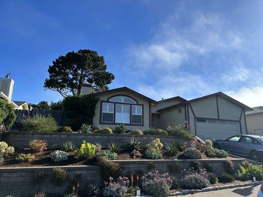 Pacifica drought tolerant landscaping with block retaining walls