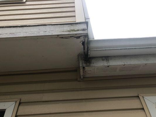 This is the repair I need completed. This is cedar wood that has dry rot on this soffit.