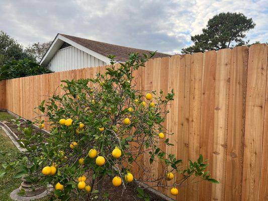 Category 5 Fence Co