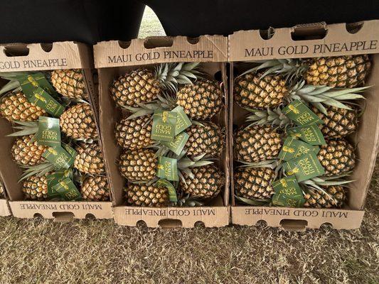 Maui pineapples