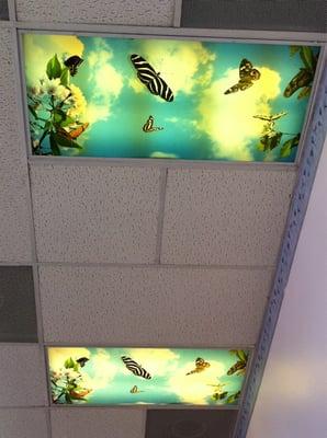 The relaxing ceiling art you see when they're working on your teeth!