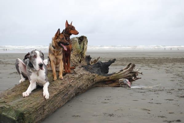 Training on the beach!