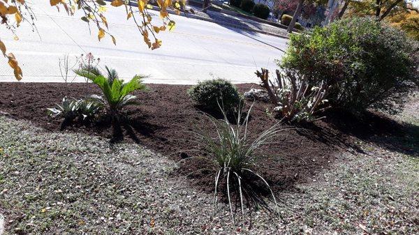 Plants + Cement work