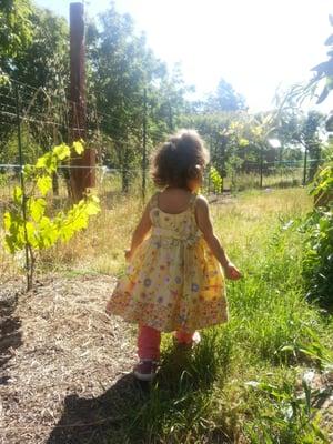 Our daughter exploring the beautiful garden at Plum Oaks!