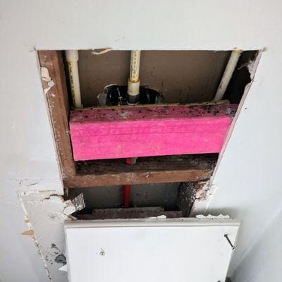 Water damage and mold growth from a hidden plumbing leak behind a shower.