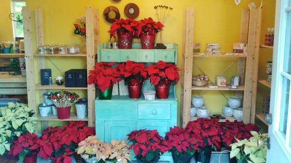 Our shop set for the Holidays!