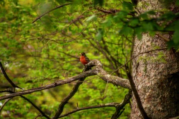 Daily visitor and company