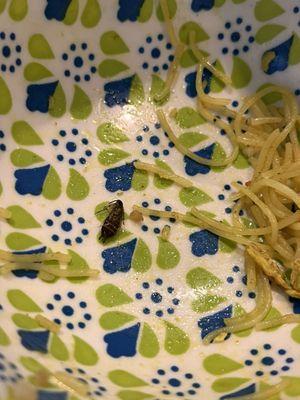 A roach was found in the Singapore Rice Noodles.   never go back again!