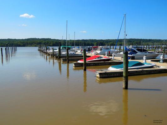 A partial view of the marina's slips.