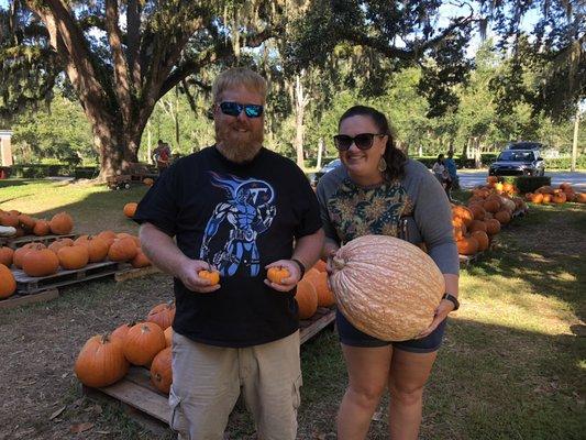 Great Pumpkin Patch!  All pumpkins $5 between 2-6pm.