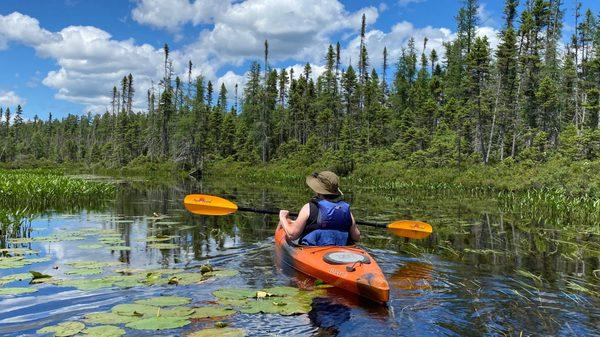 Our Tuesday Night Kayak Tour