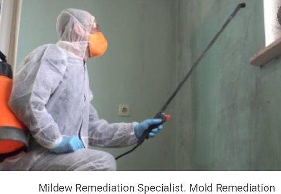 Indoor-Air Mold Specialists