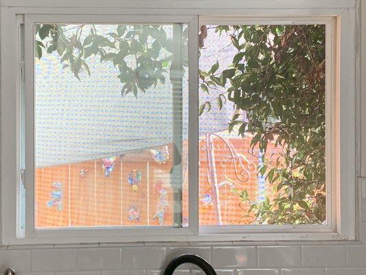 Kitchen window looking out.