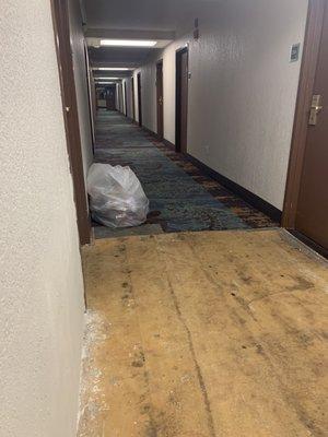 Large garbage bag on 3rd floor, ripped carpet