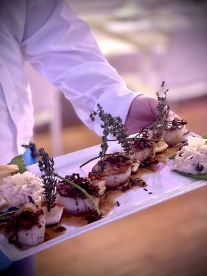 Seared Hokkaido Scallops with thyme brown butter