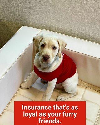 Andy Gawron - State Farm Insurance Agent