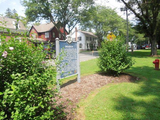 Rose of Sharon surround the Marker of Sharon