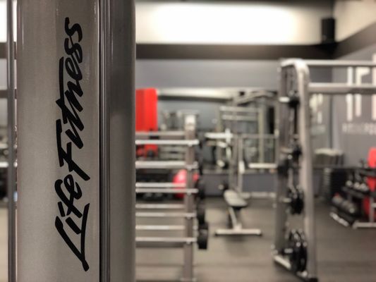 Life fitness smith machine