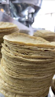 Fresh corn tortillas