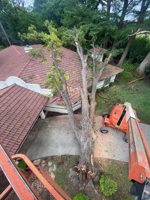 Torres Tree Services